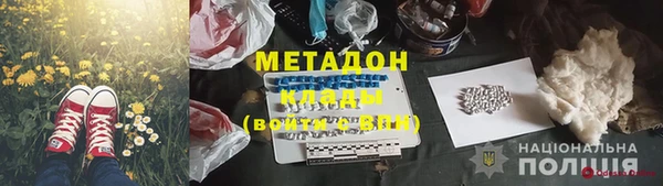 крисы Алексин