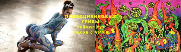 СК Абаза