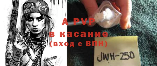 крисы Алексин
