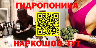 стаф Свободный