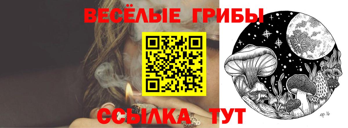 Сокол  Псилоцибиновые грибы GOLDEN TEACHER  Вход с VPN 